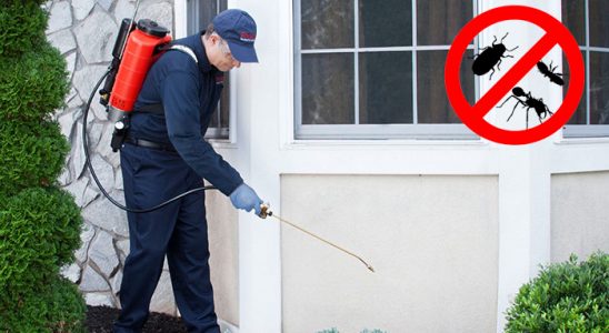 Bozyazı Kene İlaçlama böcek ilaçlama ve haşere kontrolü — ilaclama-tr.com
